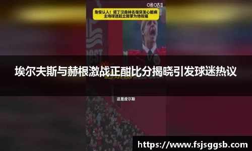埃尔夫斯与赫根激战正酣比分揭晓引发球迷热议